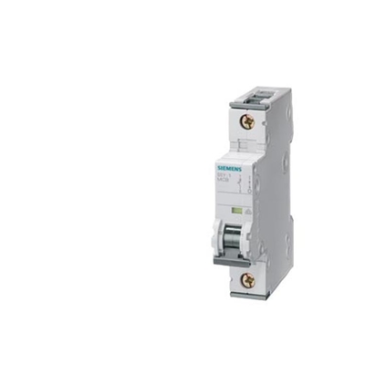 Siemens 5SY6216-7CC Disconnettore di distribuzione a bassa tensione 6kA 2P C
