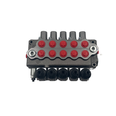 P80 Macchine Valvola di controllo direzionale idraulica monoblocco SD5/5-P KG-160 per Wolfo