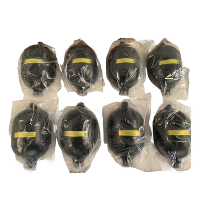 Accumulatore di diaframma professionale ZPFDC210-2A con opzioni standard o non standard